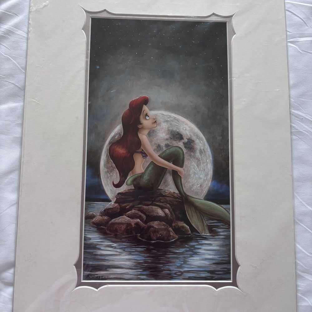 Disney Little Mermaid Ariel Illustration Art Canvas 35.5x45.5cm New Unused